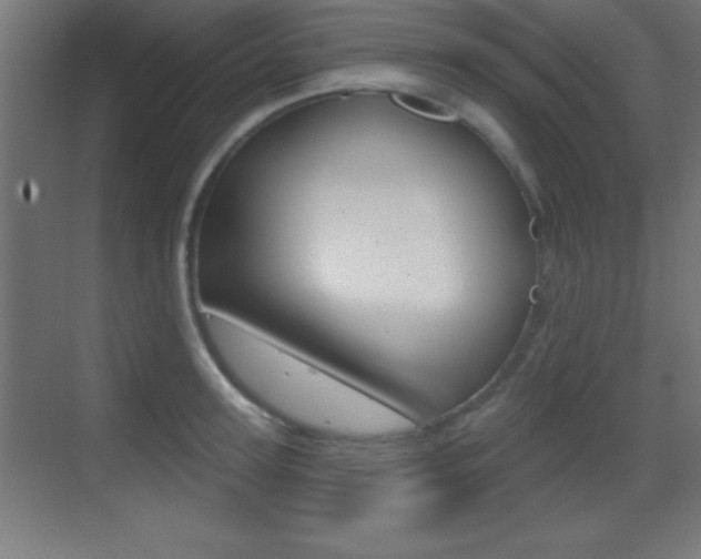 X0000069790947200605190840