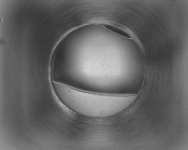 X0000069790955200605190840