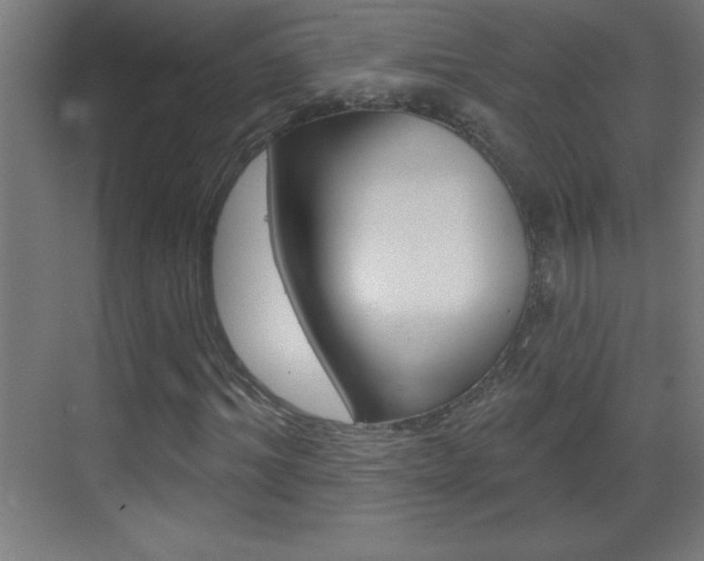 X0000069790964200605190839