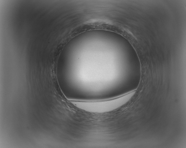 X0000069790965200605190839
