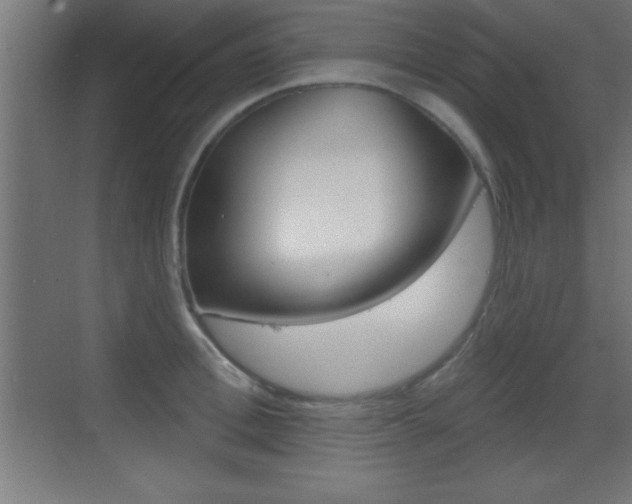 X0000069790996200605190839