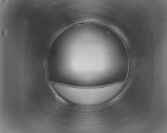 X0000069791001200605190839