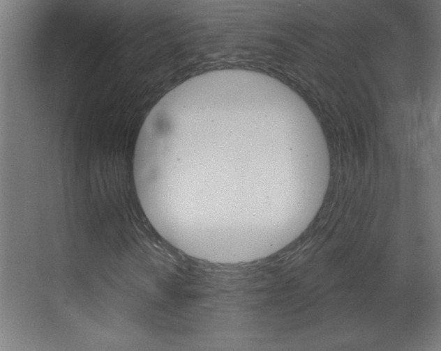 X0000069791010200605190838