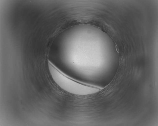 X0000069791012200605190838