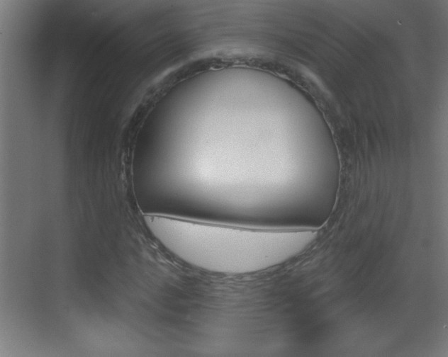 X0000069791016200605190838