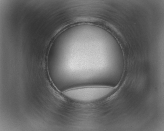 X0000069791025200605190838