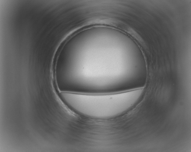 X0000069791028200605190838