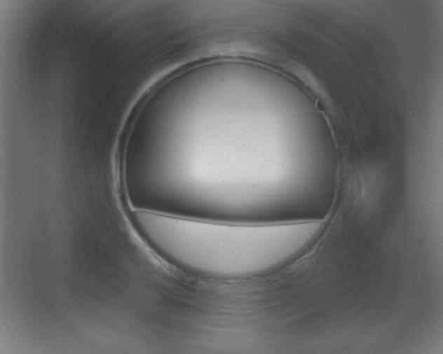 X0000069791032200605190838