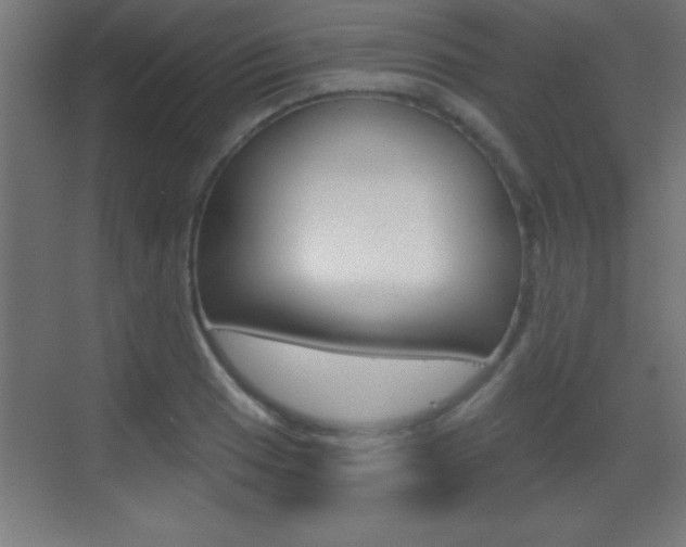 X0000069791033200605190838