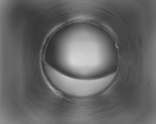 X0000069791034200605190838