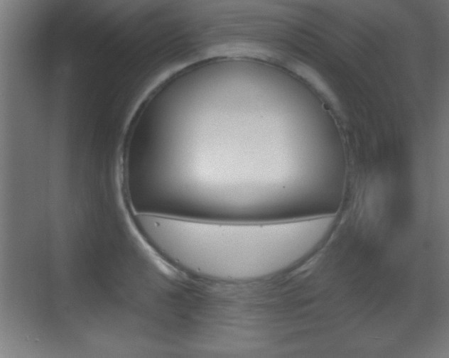 X0000069791040200605190838