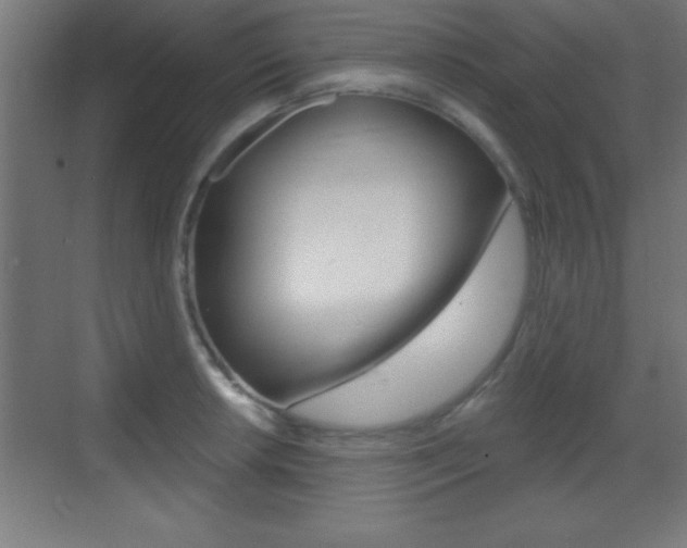 X0000069791042200605190838