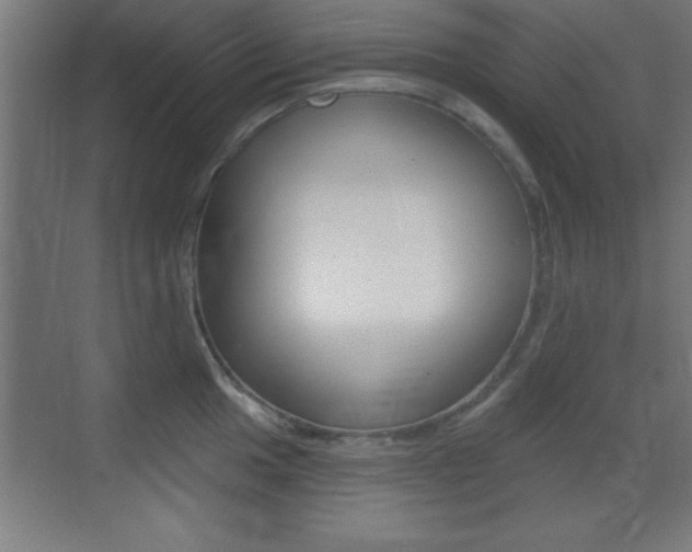 X0000069791049200605190838