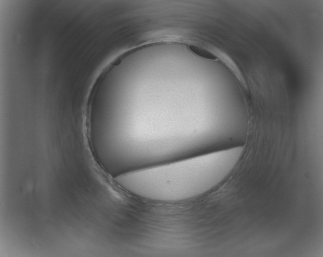 X0000069791051200605190838