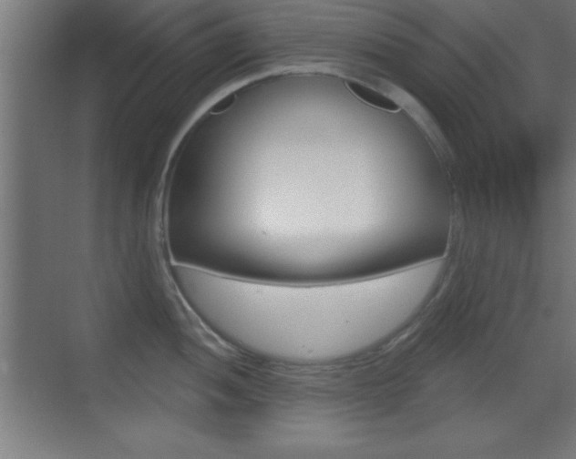 X0000069791052200605190838