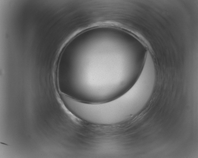 X0000069791054200605190838