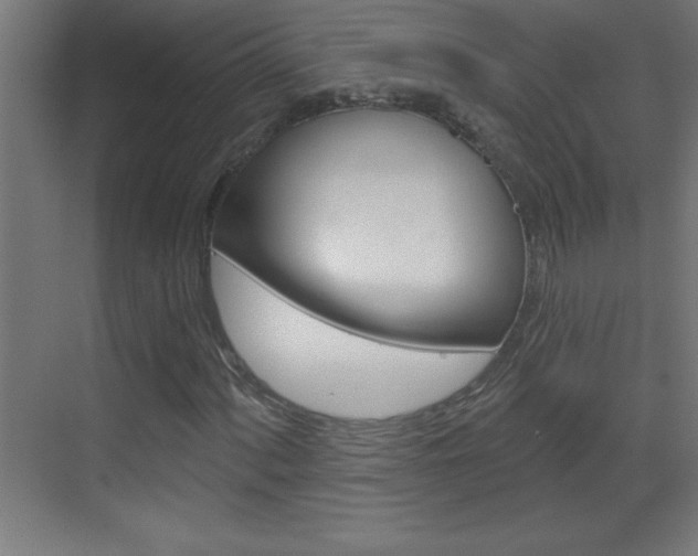 X0000069791060200605190838