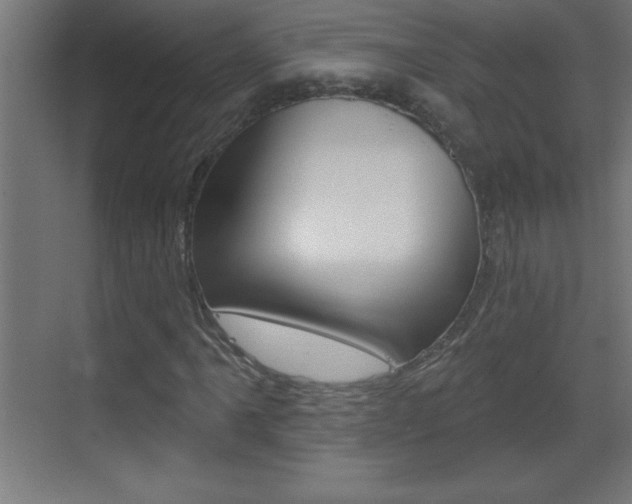 X0000069791061200605190838