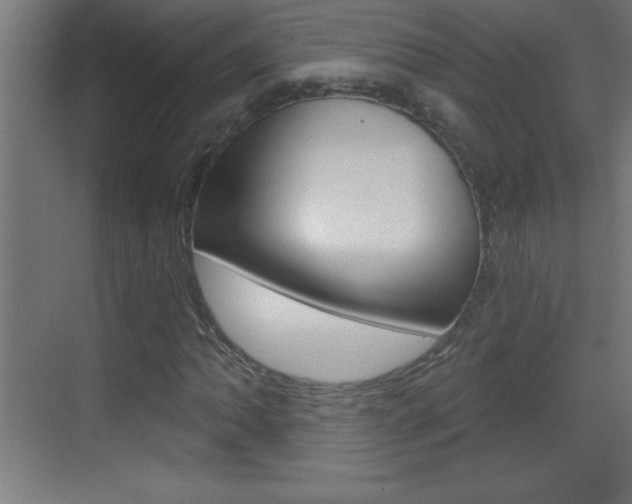 X0000069791062200605190838