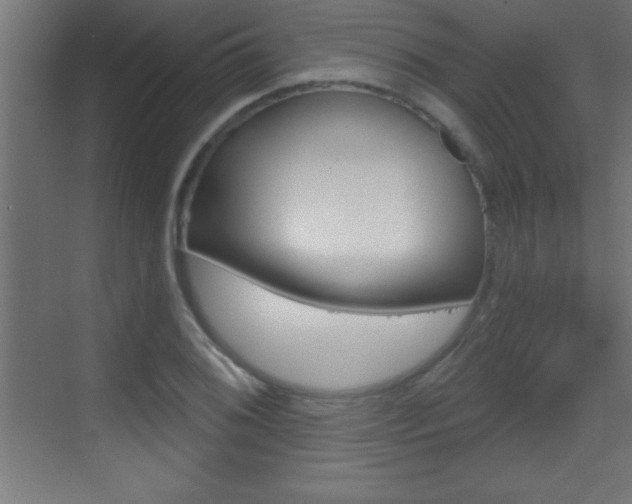 X0000069791076200605190837
