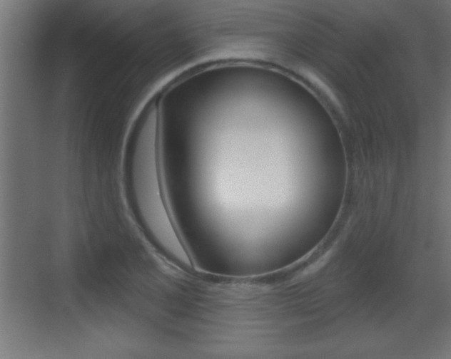 X0000069791077200605190837