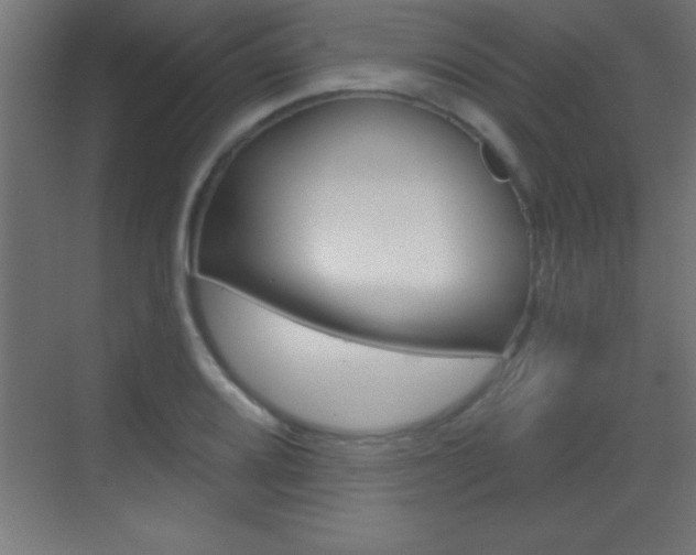 X0000069791080200605190837