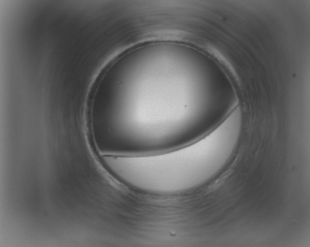 X0000069791085200605190837