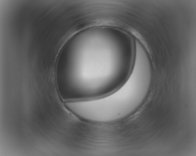 X0000069791089200605190837