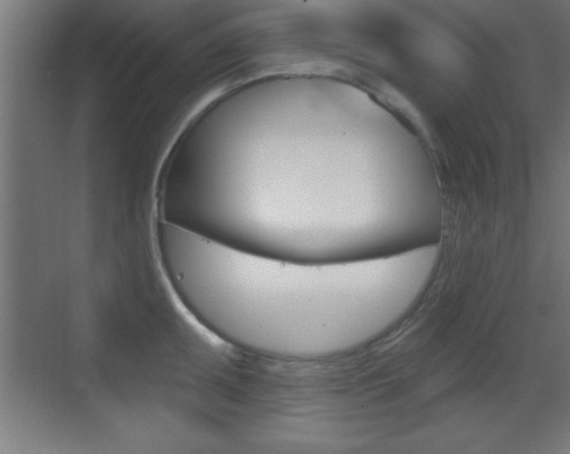 X0000069791095200605190837