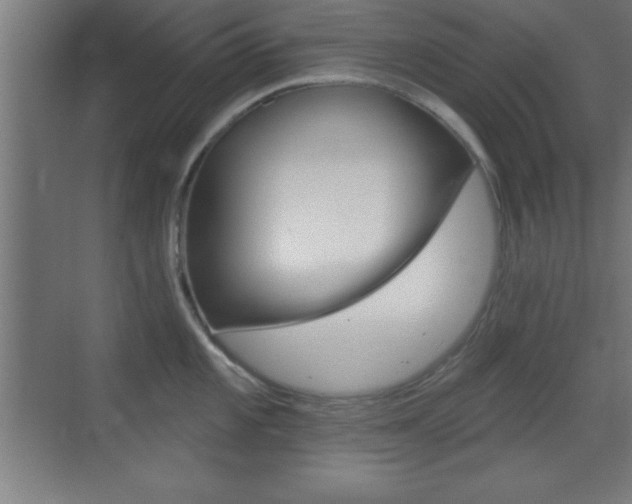 X0000069791101200605190837