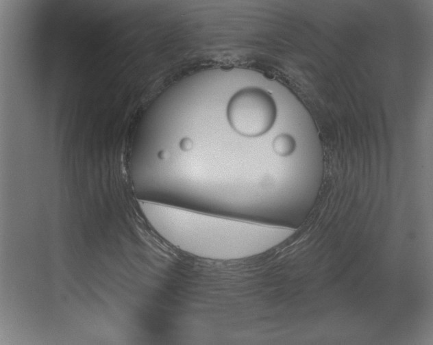 X0000069791106200605190836