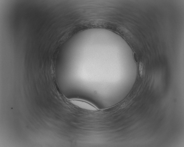 X0000069791107200605190836