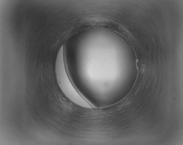 X0000069791108200605190836
