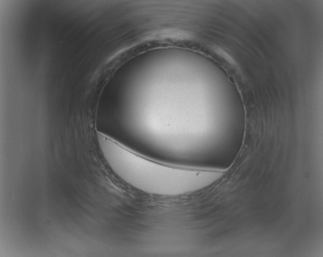 X0000069791112200605190836