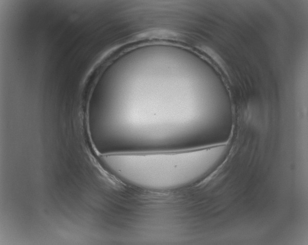 X0000069791115200605190836
