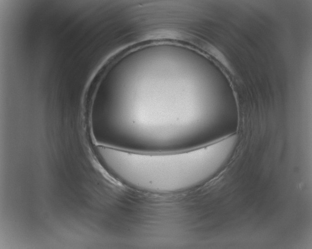 X0000069791116200605190836