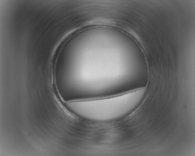 X0000069791123200605190836