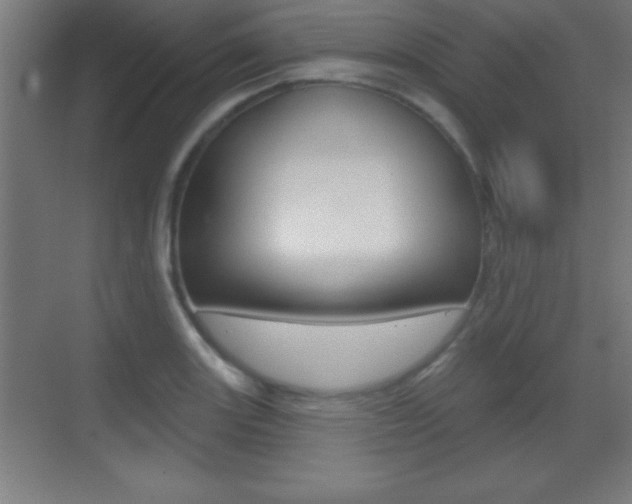 X0000069791131200605190837