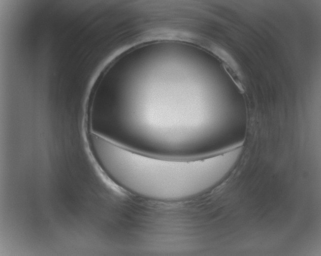 X0000069791136200605190837