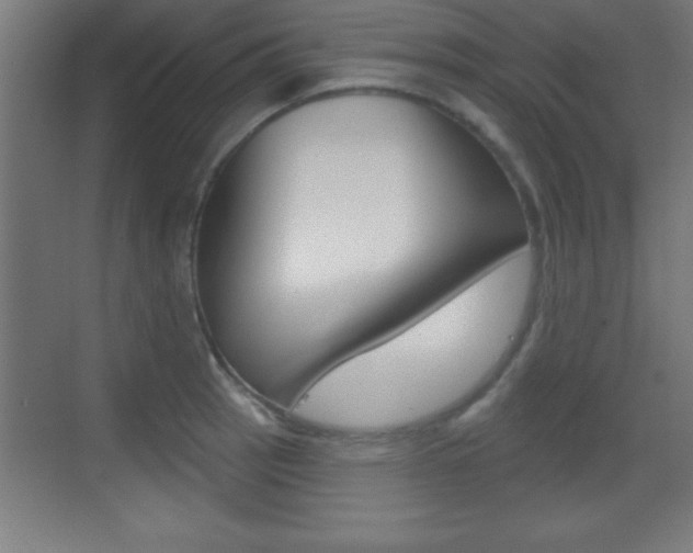 X0000069791137200605190837