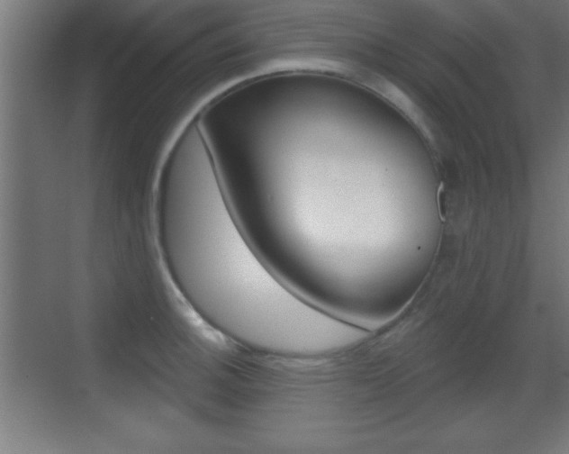 X0000069791140200605190837