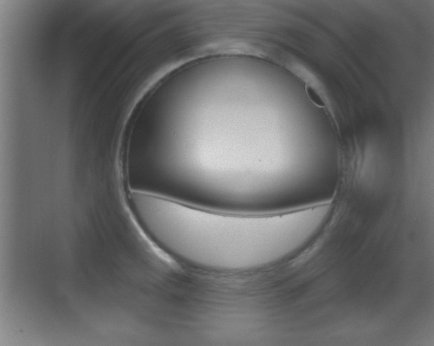 X0000069791141200605190837