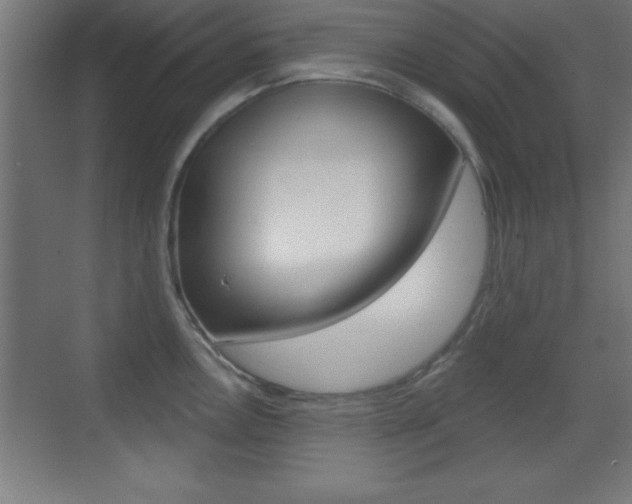 X0000069791146200605190837