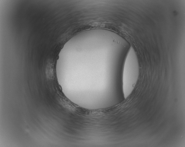 X0000069791154200605190836