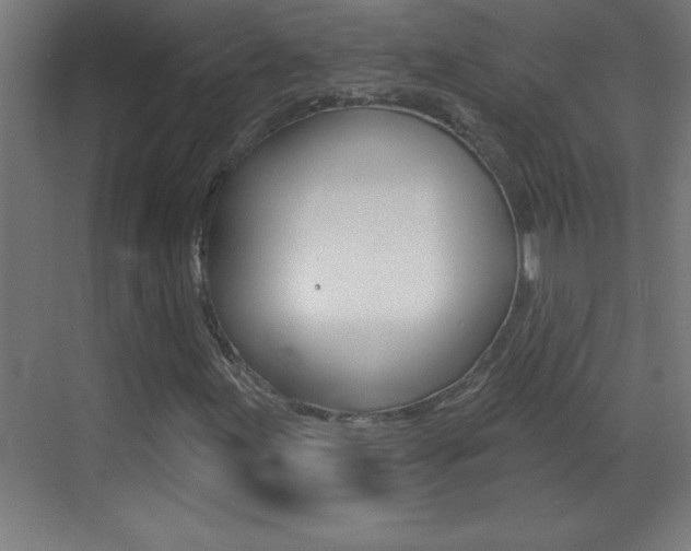 X0000069791155200605190836