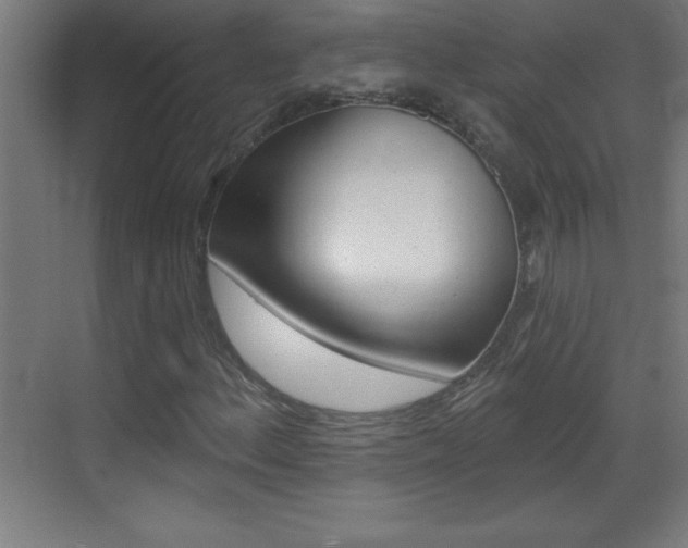 X0000069791156200605190836