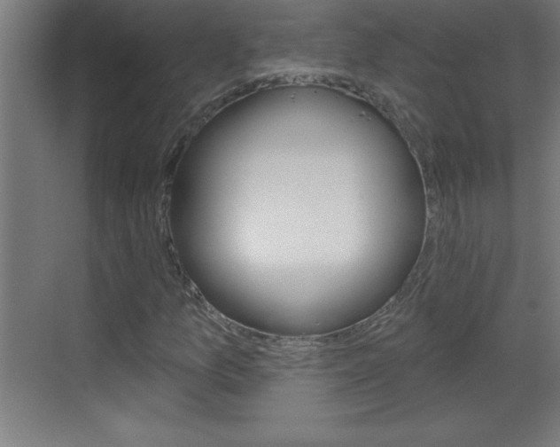 X0000069791157200605190836