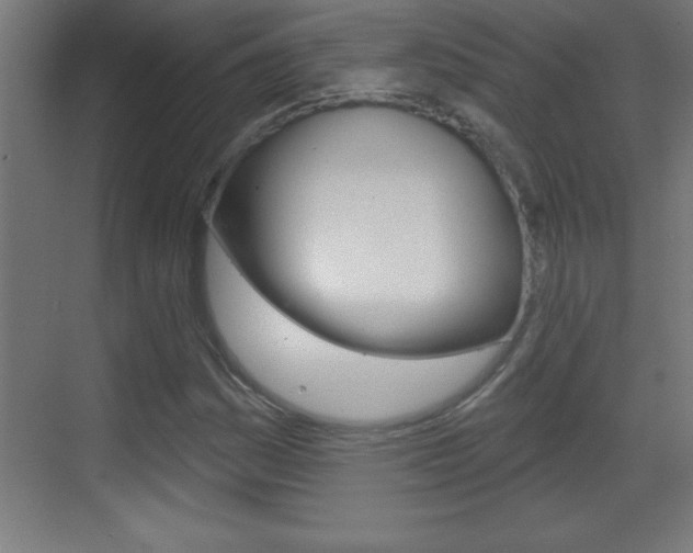 X0000069791161200605190836