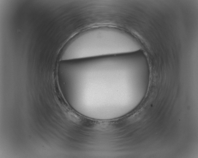 X0000069791162200605190836