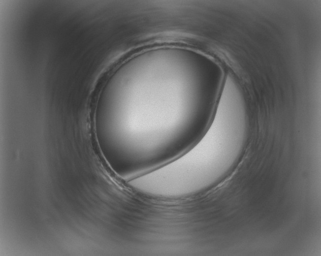 X0000069791164200605190836